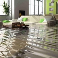 Limpieza de Aguas por Inundación: Guía Completa para un Ambiente Seguro y Sano