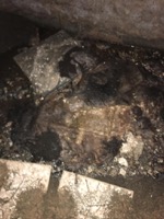 Desembussos a Barcelona amb equip d'alta pressió
