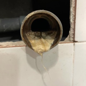 Desatasco y limpieza de urinarios en Barcelona