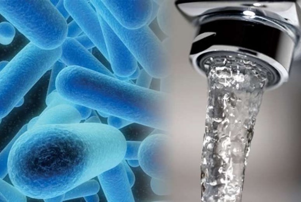 Tot sobre la Legionella